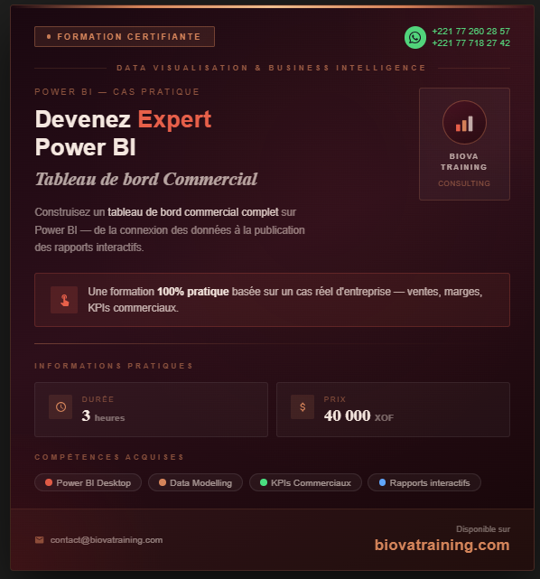 Devenez un expert Power BI _ Formation complète de A à Z _ Cas d'un Tableau de bord Commercial